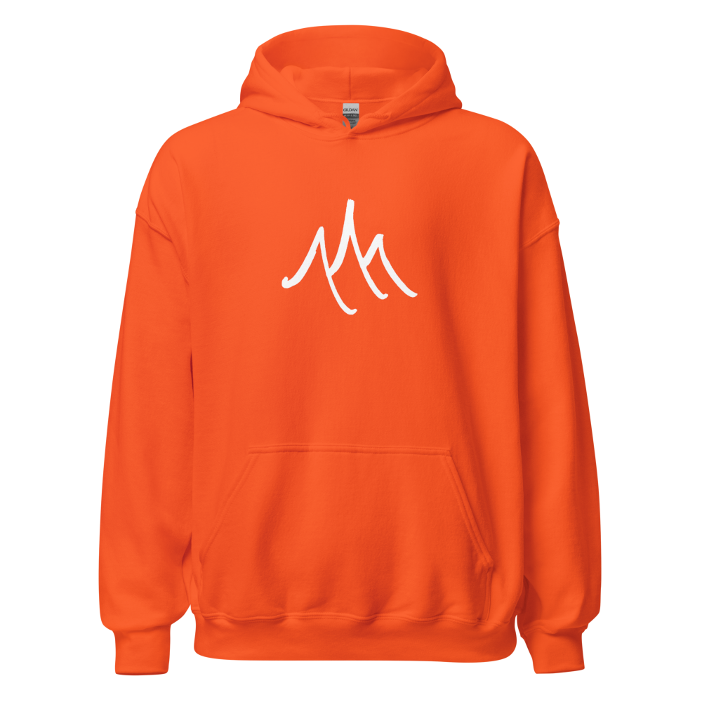 Andino / DFLF Hoodie - Image 4