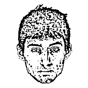 Scars Like Stars (music)